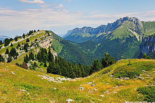 风景,隘口,围绕,山,黄绿色,伊泽尔省,隆河阿尔卑斯山省,区域,法国,欧洲