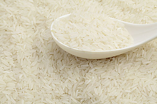 特写,米饭