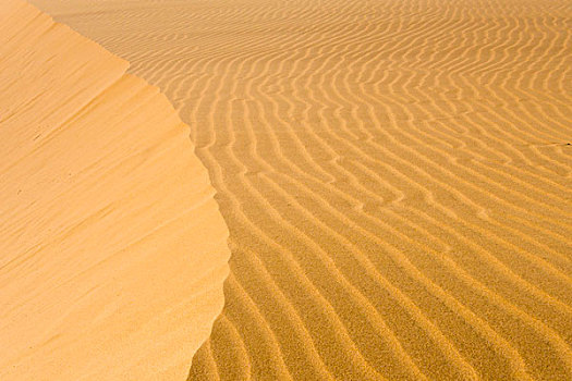 沙丘,国家公园,靠近,猎鹰,委内瑞拉,大幅,尺寸