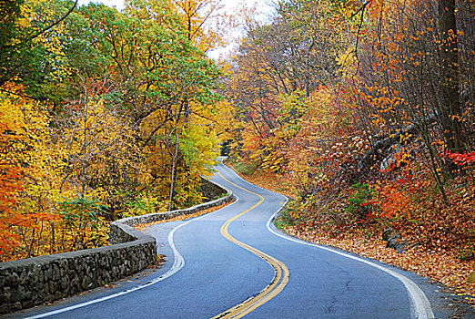 彩色,弯曲,秋天,道路
