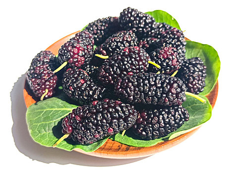 桑葚 桑果