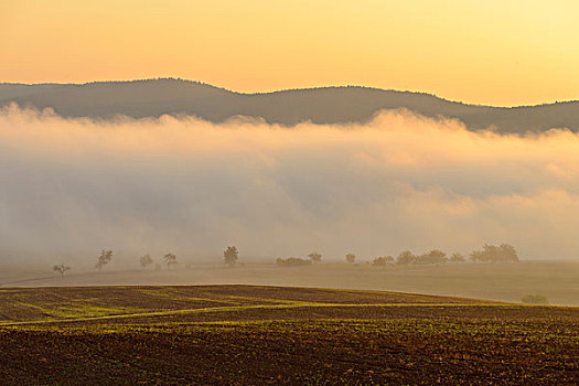乡村,晨雾,俯视,地点,光亮,太阳,巴伐利亚,德国