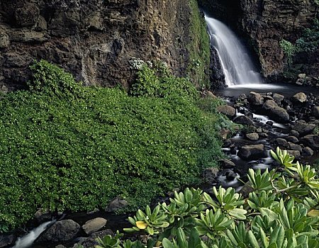 瀑布,考艾岛,夏威夷,美国