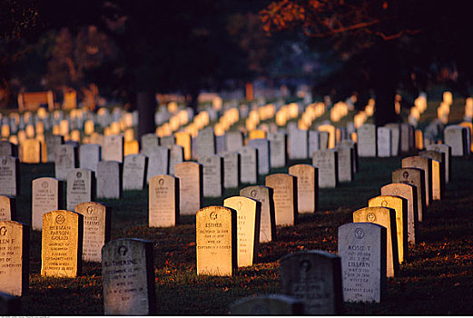 墓地,弗雷德里克斯堡,弗吉尼亚,美国