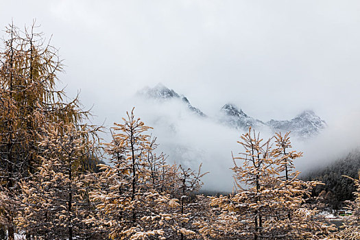 四川毕棚沟秋景