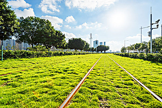 铁路,树,格陵兰