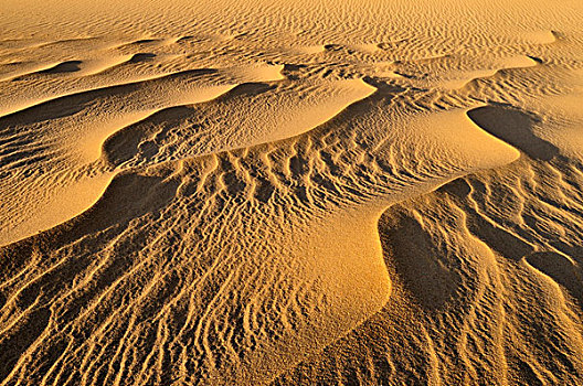 沙子,建筑,沙丘,靠近,阿德拉尔,阿尔及利亚,撒哈拉沙漠,北非