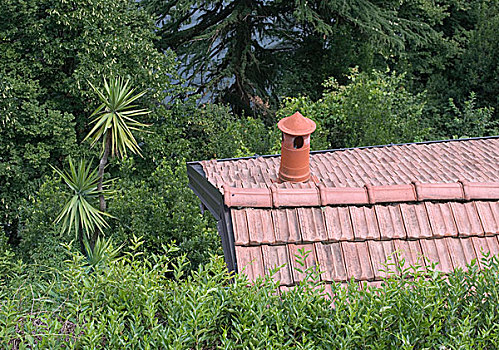 屋顶,房子,花园