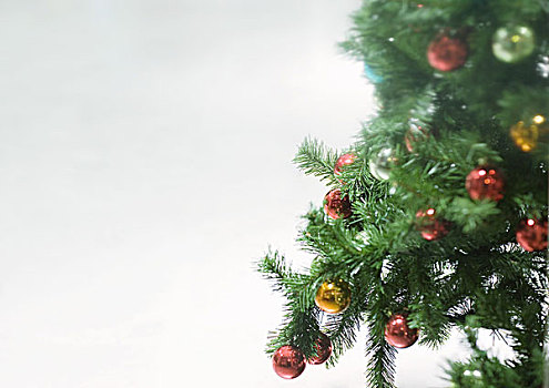 圣诞装饰,树上,特写