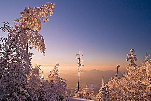 晚间,场景,山,黑森林,巴登符腾堡,德国