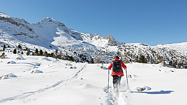 远足,走,初雪,自然公园,博尔查诺,省,南蒂罗尔,特兰迪诺,意大利