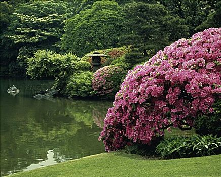 花园,东京,日本