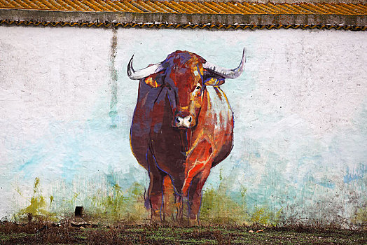 壁画,西班牙,公牛,涂绘,厩,墙壁,安达卢西亚,欧洲