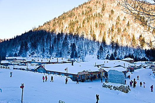 雪乡,双峰林场,村庄,风景,白天,黑龙江,牡丹江