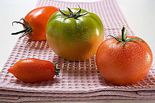 四个,不同,西红柿,茶巾