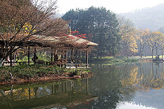 杭州太子湾公园