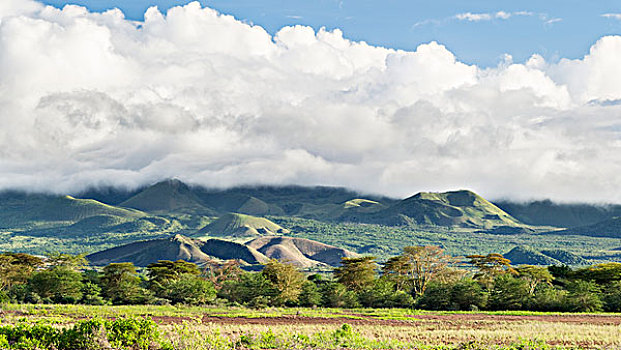 山,风景,国家公园,肯尼亚,非洲,大幅,尺寸