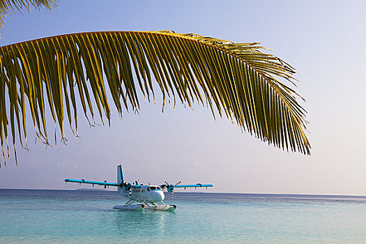 水上出租车,泻湖,岛屿,北方,环礁,马尔代夫
