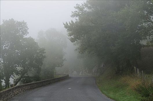 雾状,道路,罗卡马杜尔,比利牛斯,法国