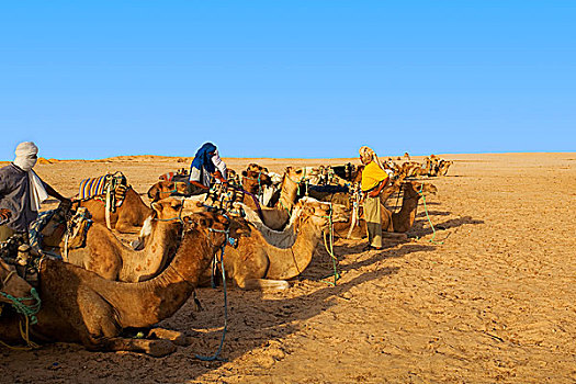 旅游,撒哈拉沙漠