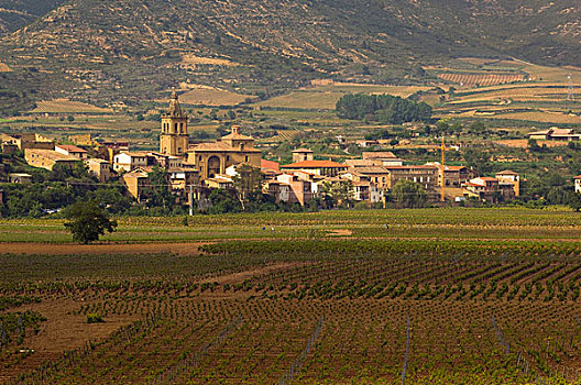 山,教堂,围绕,葡萄园,拉里奥哈,区域,北方,西班牙