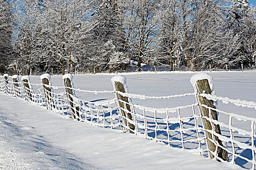 栅栏,土地,积雪