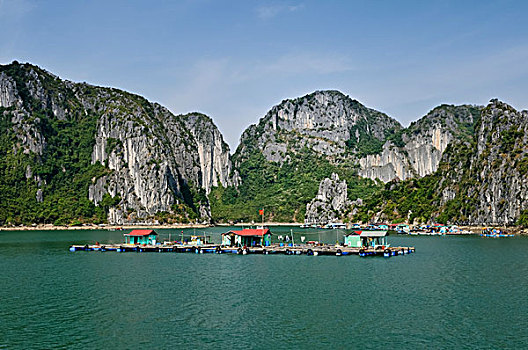 漂浮,乡村,下龙湾,越南,东南亚