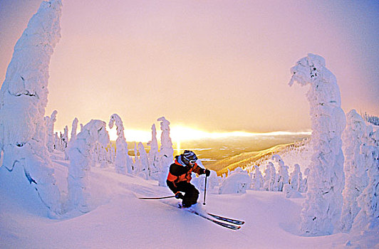 日落,滑雪,大,白鲑,蒙大拿