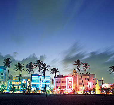 美国,佛罗里达,迈阿密,南海滩,艺术装饰,建筑,棕榈树,细条