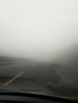 道路,大雾