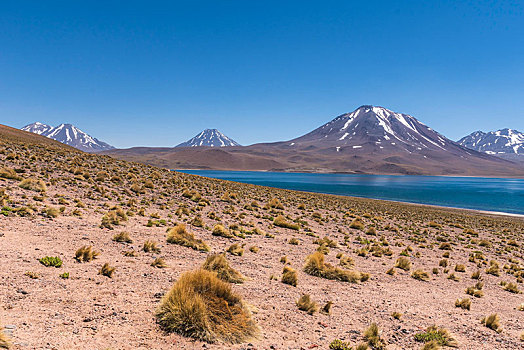 泻湖,火山,高原,区域,安托法加斯塔,智利,南美