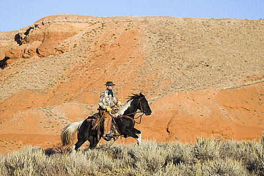 牛仔,骑,骑马,山艾树,正面,红色,砂岩,悬崖