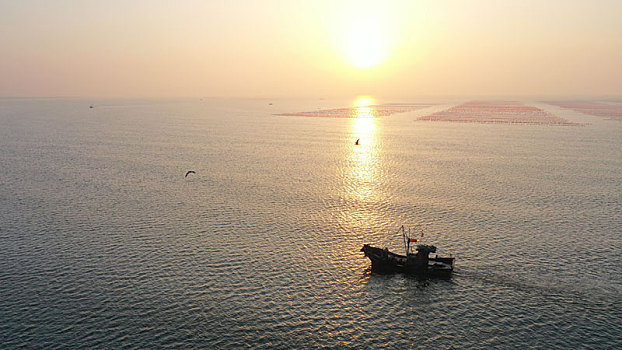 渔民迎着金色阳光,在广阔大海中耕海牧渔