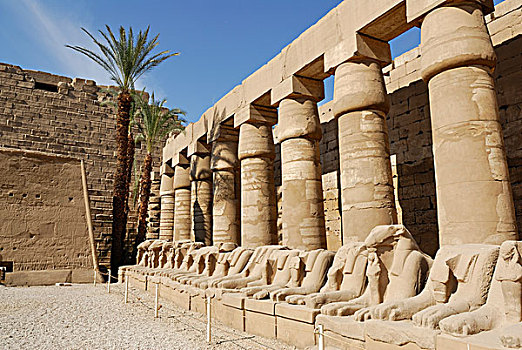 绵羊,雕塑,庙宇,卡尔纳克神庙,路克索神庙,尼罗河流域,埃及,非洲
