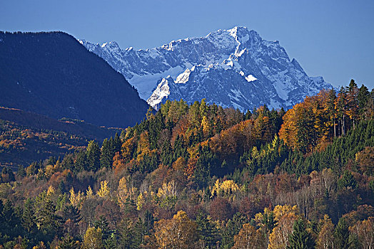 风景,上方,哥尼斯堡,秋天,上巴伐利亚,德国南部,德国