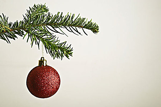红色,圣诞饰物,悬挂,圣诞树