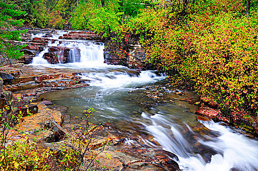 秋色,叶子,溪流,瀑布,不列颠哥伦比亚省,加拿大