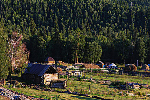 新疆喀纳斯景区白哈巴村风景