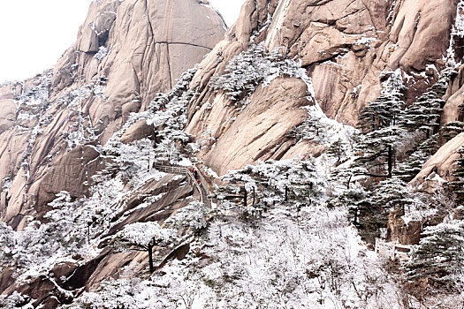 中国安徽黄山风景区,冬日雪后奇峰怪石林立,云雾飘渺宛若仙境