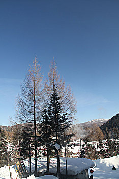 哈尔滨,雪乡,雪景,北方