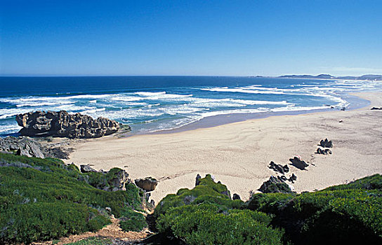 海滩,荒野,国家,公园,克尼斯纳,花园大道,西海角,南非,非洲