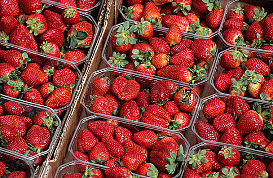 草莓,卡尔卡松尼,市场