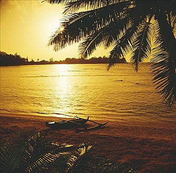 夏威夷,莫洛凯岛,舷外支架,独木舟,岸边,金色,日落,反射,棕榈树,框架