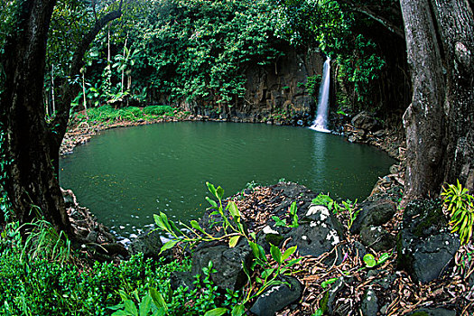 瀑布,水塘,鱼眼镜头,国家,热带,植物园,考艾岛,夏威夷,美国
