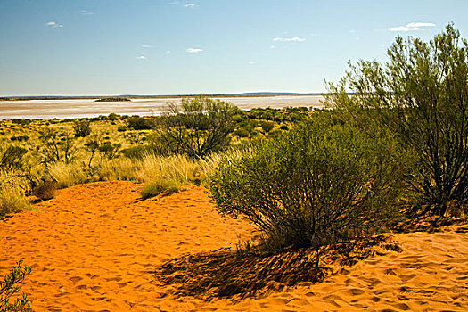 湖,沙丘,北部地区,澳大利亚