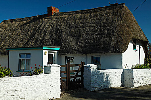 茅草屋顶,屋舍,码头,乡村,韦克斯福德郡,爱尔兰