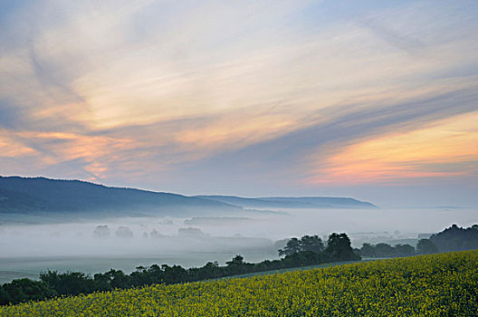 雾,早晨,风景,靠近,图林根州,德国,欧洲