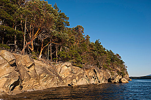砂岩,岸边,岛屿,自然保护区,不列颠哥伦比亚省,加拿大