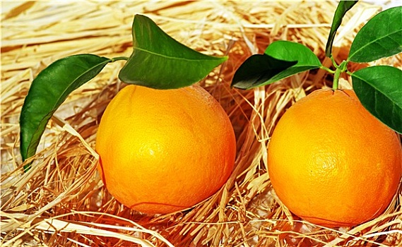 两个,橘子,水果,叶子