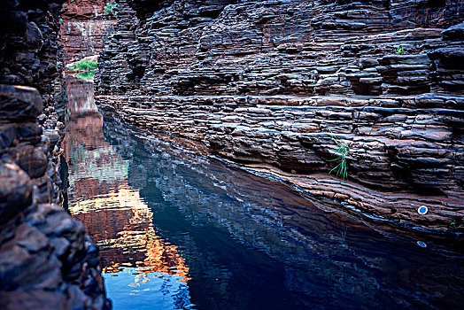 峡谷,卡瑞吉尼国家公园,西澳大利亚州